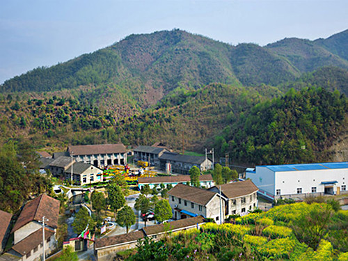 热烈祝贺江南体育在线登录入口（中国）有限公司正式上线！